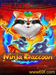 NinjaRaccoon